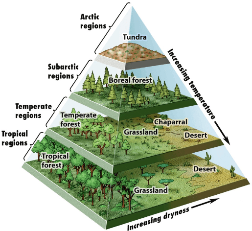 FOREST ECOSYSTEM OF INDIA | UPSC